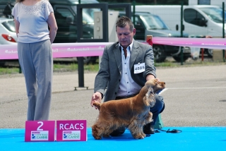 ch-france-2012-daydream-001