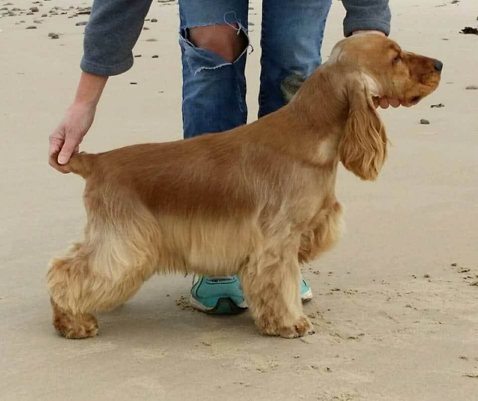 Le Clos Des Flamboyants Le Clos Des Flamboyants